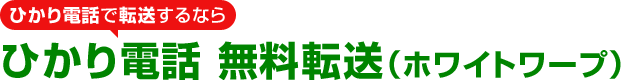 ひかり電話で転送するなら ひかり電話 無料転送（ホワイトワープ）