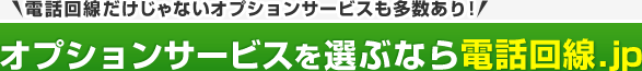電話回線だけじゃないオプションサービスも多数あり！オプションサービスを選ぶなら電話回線.jp
