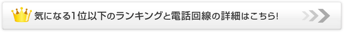気になる1位以下のランキングと電話回線の詳細はこちら！