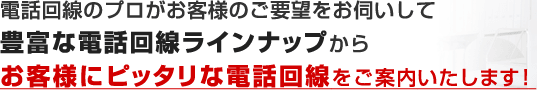 電話回線のプロがお客様のご要望をお伺いして豊富な電話回線ラインナップからお客様にピッタリな電話回線をご案内いたします！